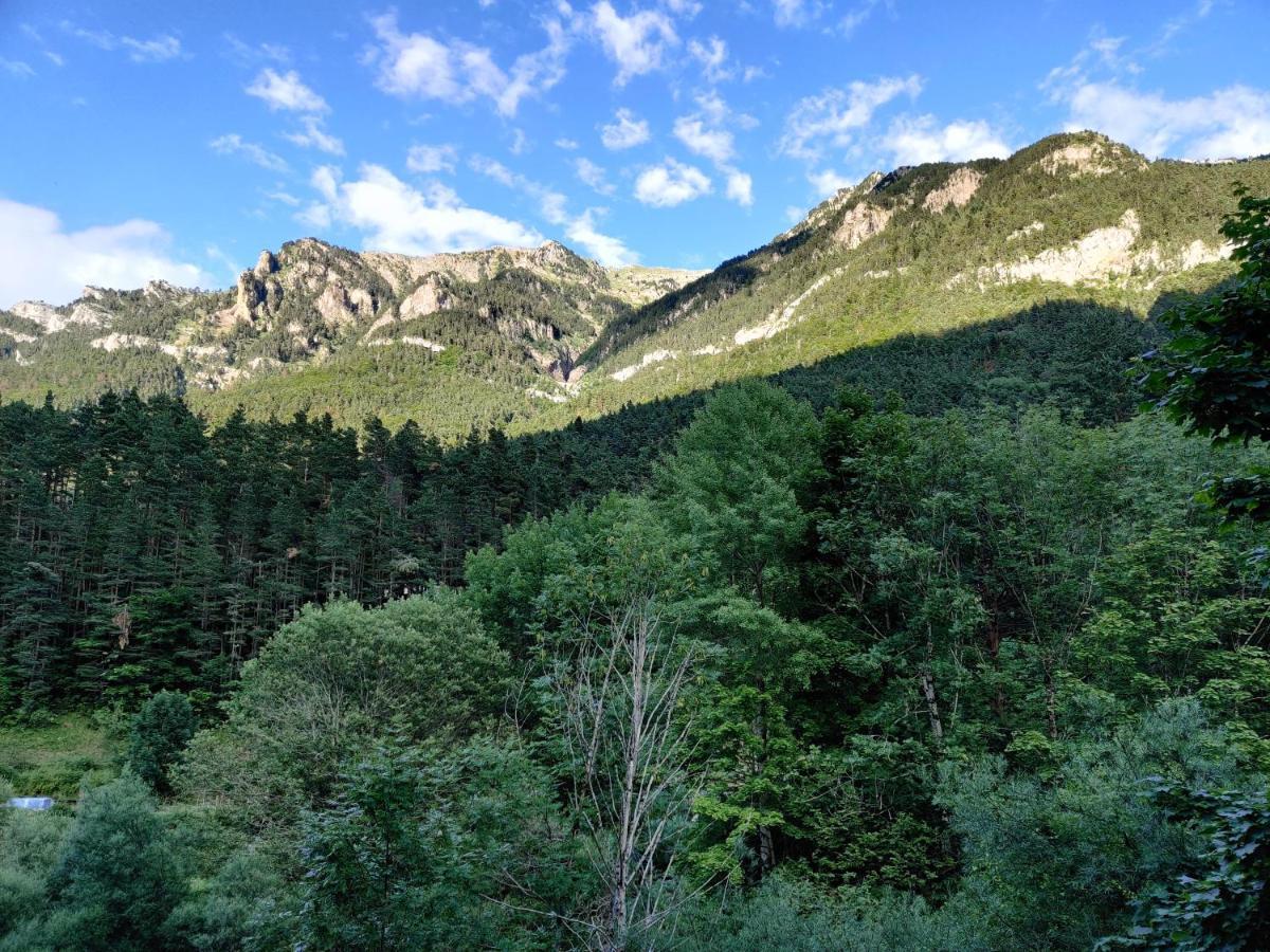 "Leo Pixel" Avairent Canfranc Estacion Daire Dış mekan fotoğraf
